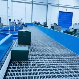 Modular Belt Sorter
